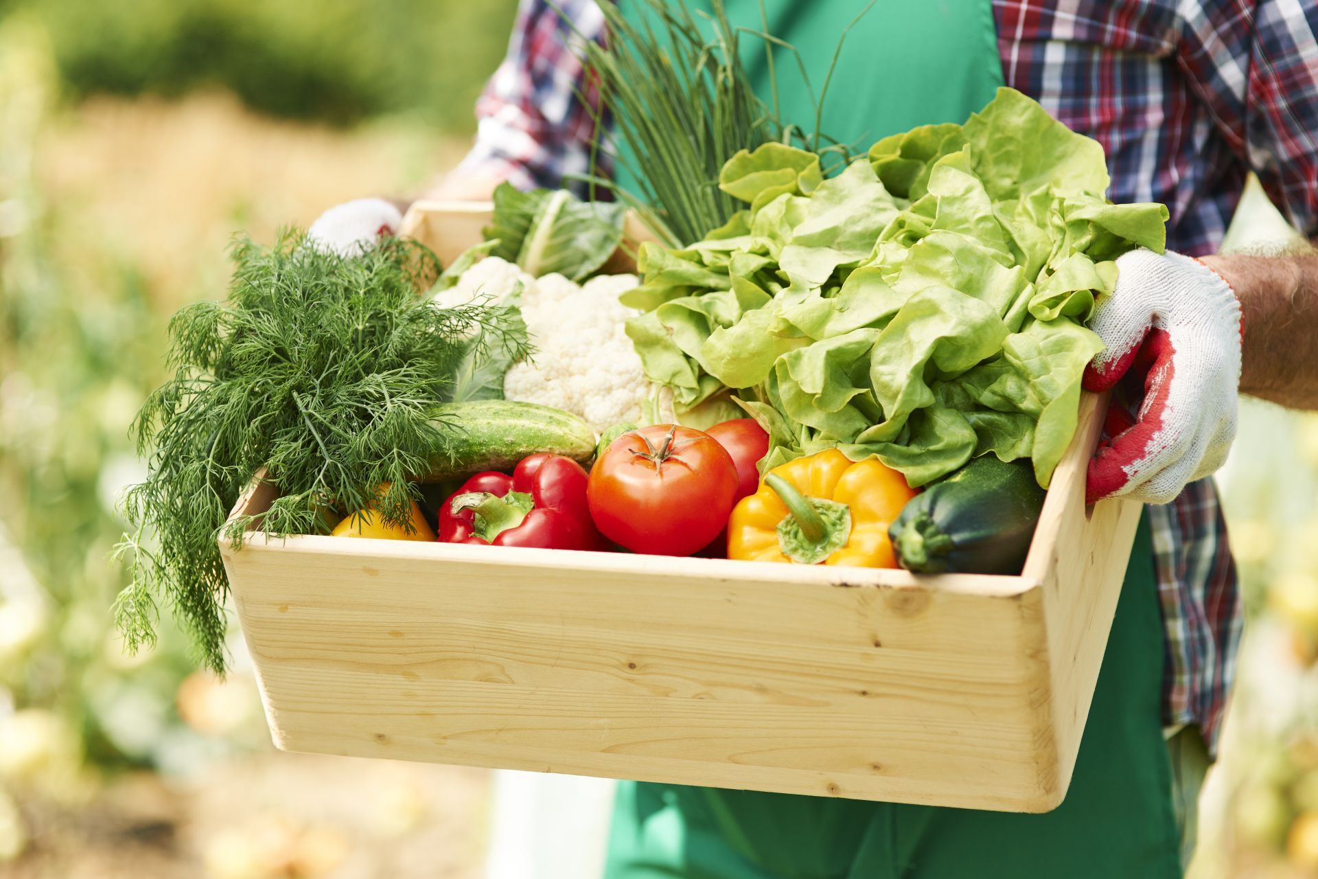 Caja frutas y verduras frescas - Grande